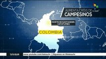 Denuncian campesinos colombianos erradicación forzada de cultivos