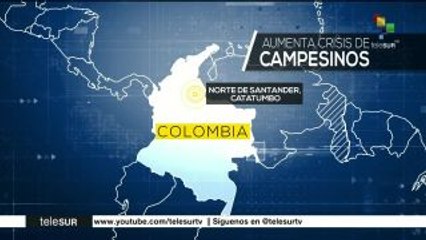 Denuncian campesinos colombianos erradicación forzada de cultivos