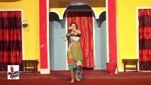 SARA KHAN SAB KI JAAN - TERE JAYE GABRU VE - 2017 PAKISTANI MUJRA DANCE