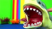 Learn Sea Animals, Sharks, Whales, Orca, Fish, Jaws - Kids Educational Toys