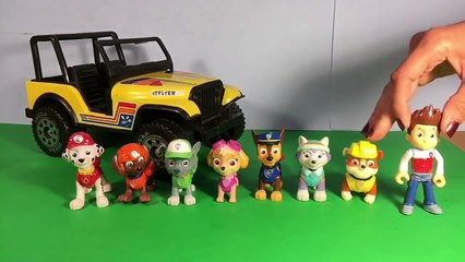 Novela Patrulha Canina em Português 32 Halloween Campo de Aboboras