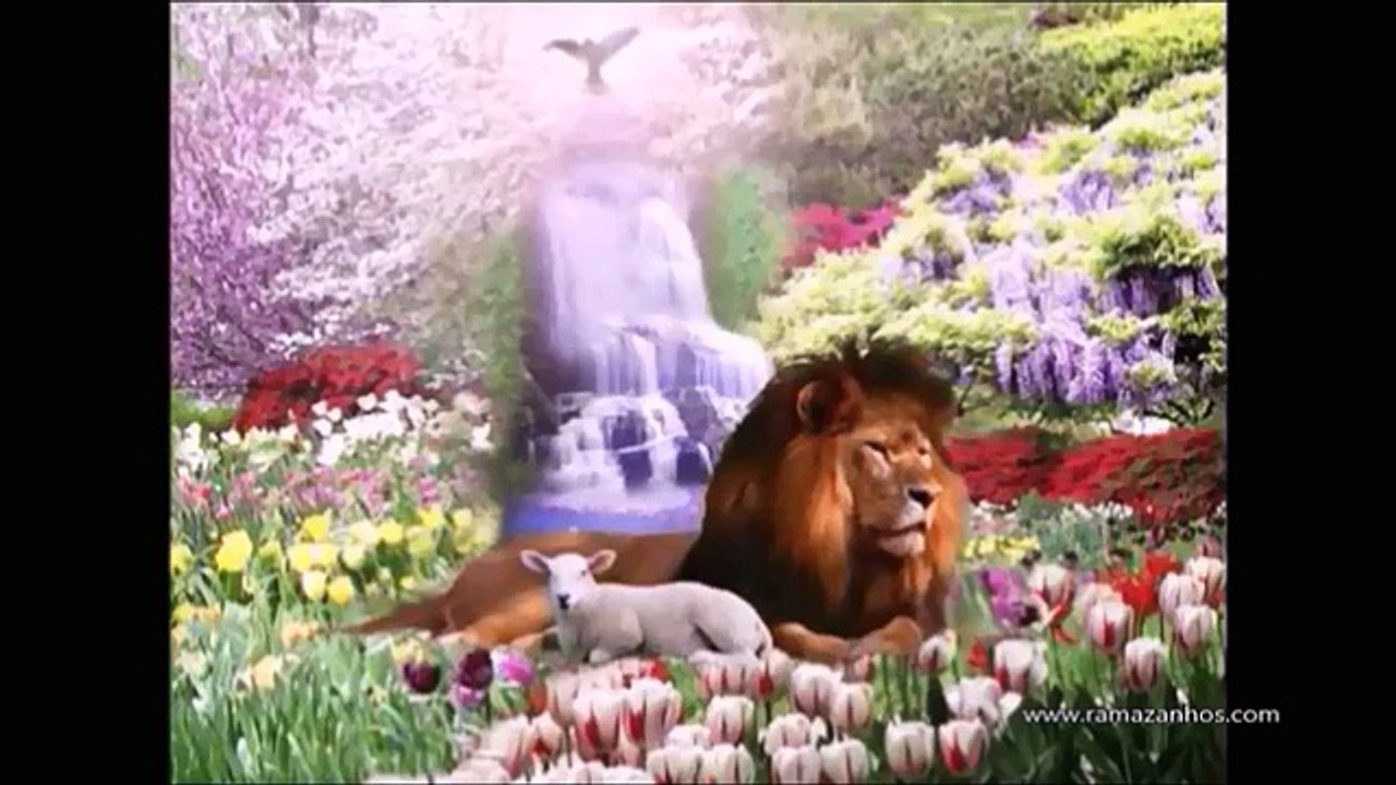 İki Farklı Kıyamet ve Mahşer günü vardır