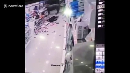 Runaway buffalo shot dead by police after injuring six