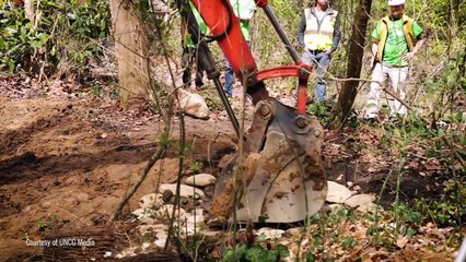 How Wetlands Improve Water Quality on University of North Carolina at Greensboro Campus | Duke Energy
