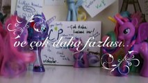 MLP-Toy Review Cutie Mark Crusaders&Friends Set