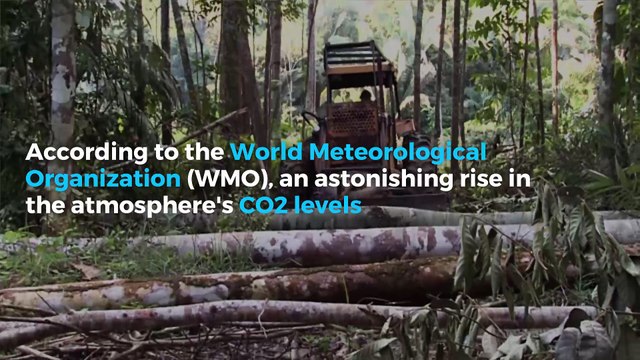 UN says carbon dioxide levels reach all-time high