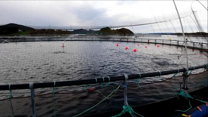 A salmon aquaculture farm in Norway