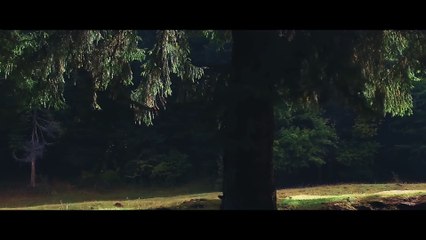 Phelipe - Ce mi-ai facut (Official Video)