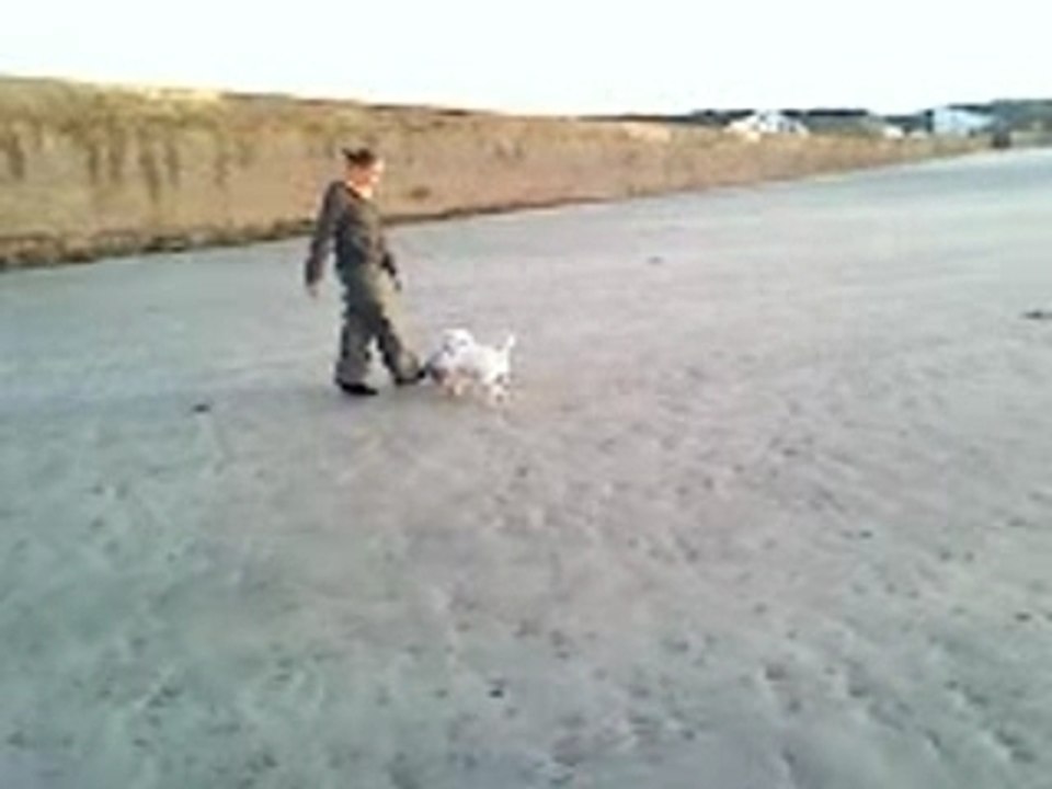 lucile et cayson collignon