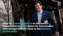 Paul Manafort pleads not guilty to charges in Russia probe