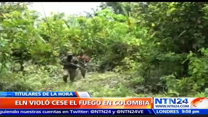 Guerrilla del ELN admitió que asesinó a gobernador indígena de Colombia