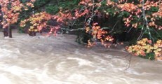 Saco River Overflowing in New Hampshire