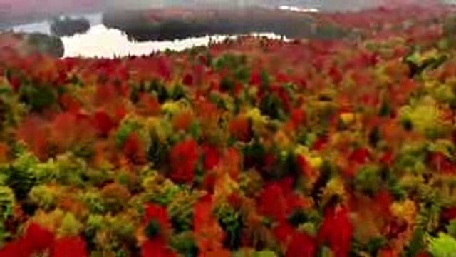 New Best Islamic Hamd o Naat Sharif Urdu Islamic 2