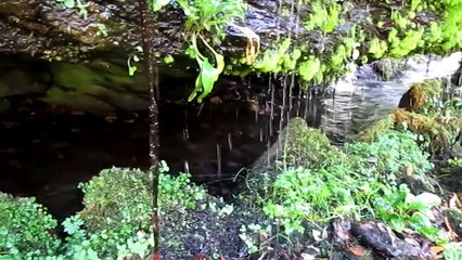Acequia de la Encinilla Río Lanjarón Cortijo del Vadillo y Hoyas de Cabrera