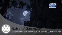 Trailer - Shadow of the Colossus - La beauté d'un clair de lune sur PS4