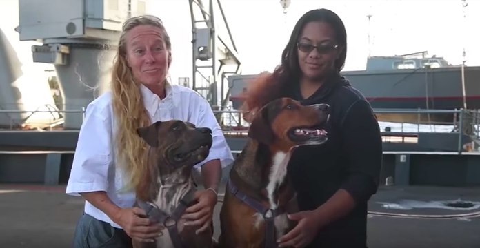 Rescued Sailors Return to Land After Five-Month Ordeal