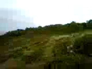 Video-0073