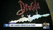 Die hard Dracula fan shows off prized possessions