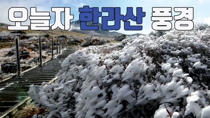 [자막뉴스] '상고대 장관' 10월 한라산 풍경 / YTN