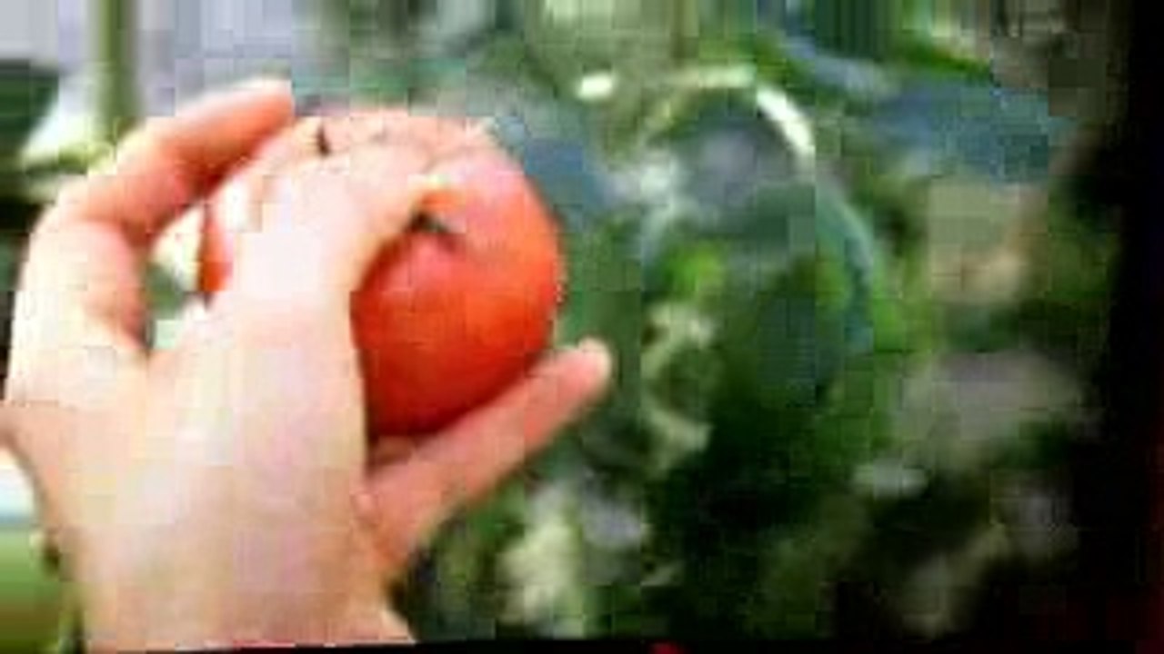 古賀絵里子 トマト口内噴射