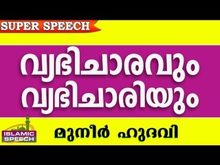 വ്യഭിചാരവും വ്യഭിചാരിയും... Islamic Speech In Malayalam | Muneer Hudavi 2016 Prabhashanam