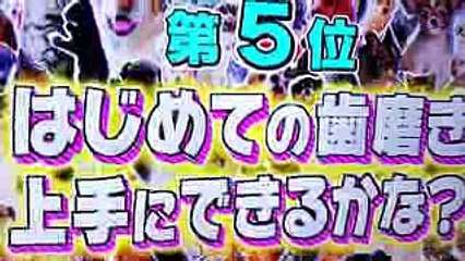 201733 放送 どうぶつピース その2