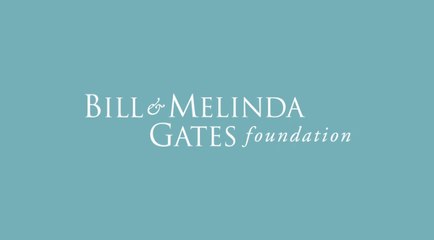 Bill Melinda Gates Foundation - Educación Superior
