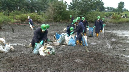 Nigeria oil spills: Shell begins clean-up after 10-year delay