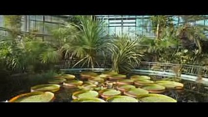 Kate Linn - Your Love (Music Video)