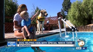 Dog helping kids with special needs swim-aejLVcxvTwM