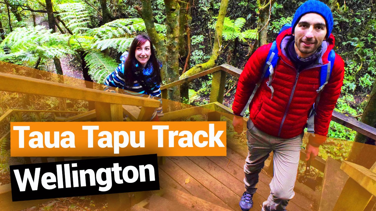 Taua Tapu Track in Plimmerton - New Zealand's Biggest Gap Year – Backpacker Guide New Zealand