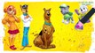 PAW Patrol Transforms into Scooby-Doo Charers | Fun Coloring Videos For Kids