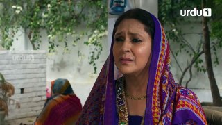 BAAGHI - Episode 7 - Urdu1