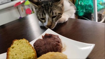 におい嗅ぐだけだから… 2 - Only smell the smell -