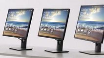 Dell P Monitor Family