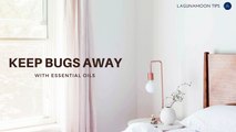Keep bugs away with Essential Oils | Lagunamoon Tips
