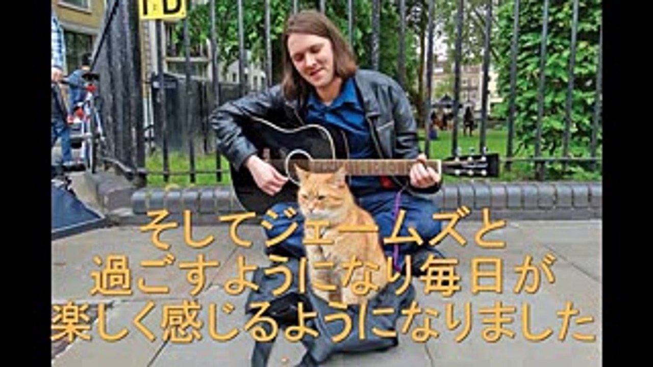 奇跡体験アンビリーバボー　奇跡の猫ボブ　どん底ジェームズさん