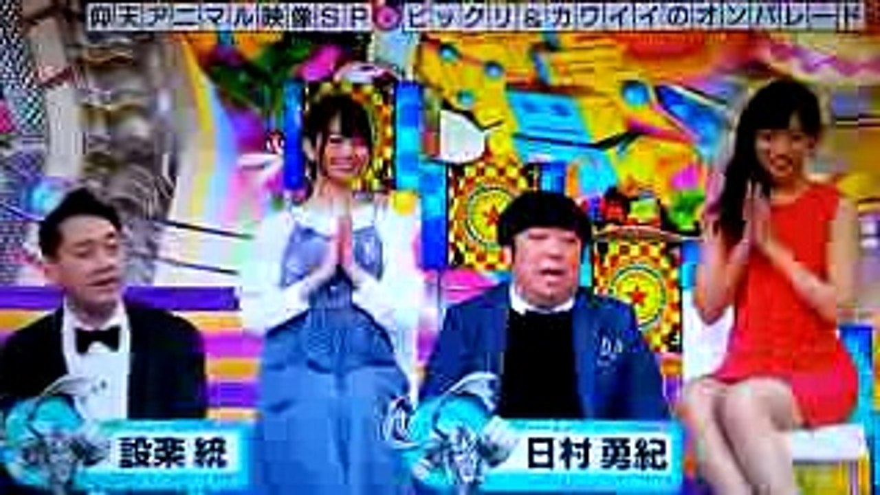 奇跡体験アンビリバボー 橋本奈々未     #2015