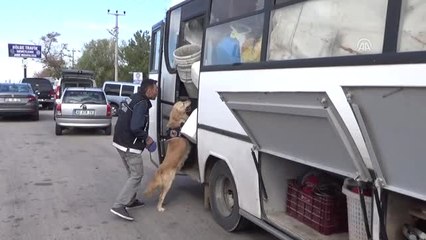 Polisten Kaçan Midibüste 220 Kilogram Esrar Ele Geçirildi