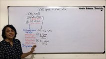 Cell Cycle & Cell Division - Cell Cycle - Part 1