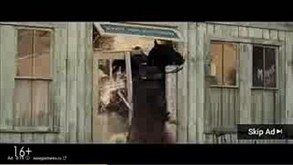 ダラケ！シーズン 