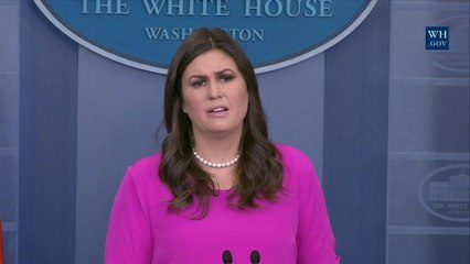 What Did George Papadopoulos Do For Trump Campaign?