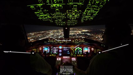 Atterrissage de nuit à Los Angeles : l'avion survole la ville entièrement éclairée !