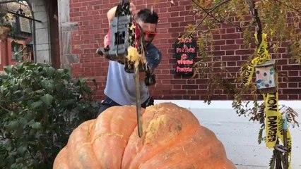 下载视频: Il rentre dans une citrouille de 500kgs vidée devant sa maison pour Halloween !