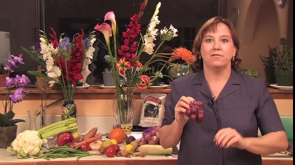 Gardening  Pruning   How to Prune Grape Vines in the 1st Year