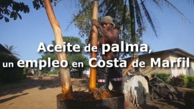 Aceite de palma, fuente de ingresos para comunidades marfileñas