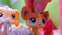 Littlest Pet Shop: Popular (Episode #11: Revenge Isnt Always Sweet)