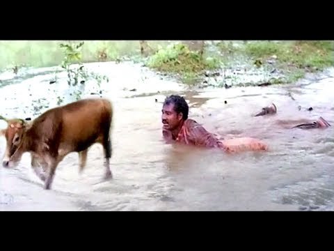 ഇനിയില്ല മണികിലുക്കം.. | Kalabhavan Mani Super Hit Malayalam Comedy Scenes | Non Stop Comedy Scenes