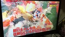ニッポン行きたい！応援団  日本の錦鯉を愛するポーランド少女