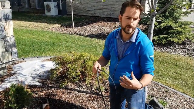 How to Install Low Voltage Outdoor Landscape Lighting - 10 Easy Steps